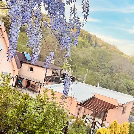 Villa Luxus - Zupko